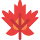 Maple leaf emoticon