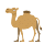 Camel emoticon