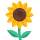 Sunflower emoticon