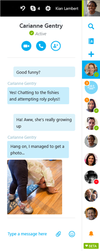when screen sharing on skype web app my video is cropped when screen sharing on skype web app my video is cropped