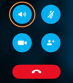 Skype     -  2